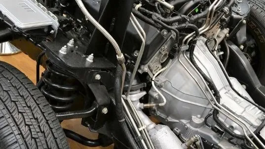 Guia Essencial das Bieletas: Tudo o Que Você Precisa Saber