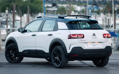 Guia essencial do C4 Cactus: tudo que você precisa saber