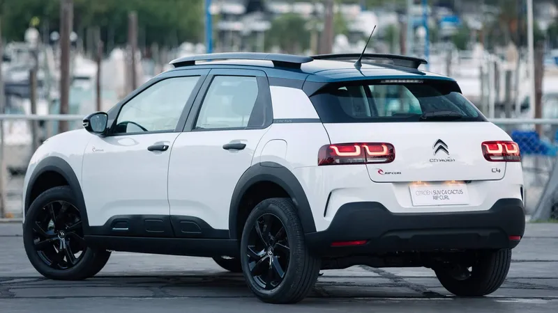 Guia essencial do C4 Cactus: tudo que você precisa saber
