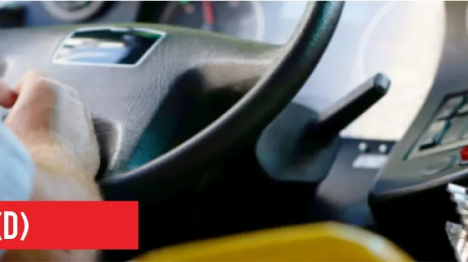 Guia Essencial da Categoria D