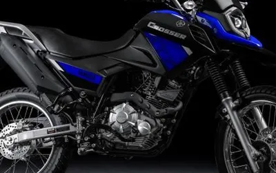 Guia Essencial da Crosser 2024