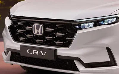 Guia Completo: CRV 2024 em Detalhes