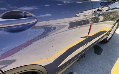 O segredo por trás da fama do CR-V Carro SUV