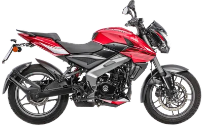 Guia Definitivo da Dominar 200