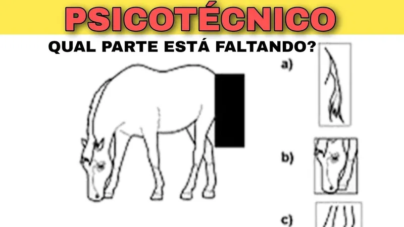 Guia Essencial para o Exame Psicotécnico