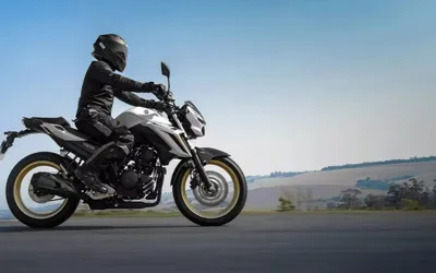 Guia Essencial da Yamaha FZ 25