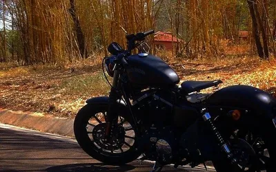 Guia Completo da Harley Davidson 883