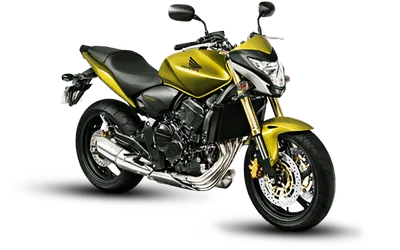 Hornet 2014: O Segredo Revelado