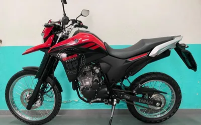 Guia Completo da Lander 250 2024