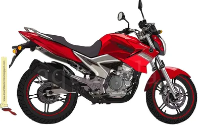 Guia Completo da Moto Fazer