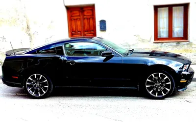 O Segredo do Mustang Shelby: Revelado!