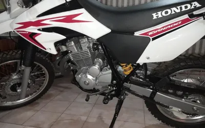 Nova Tornado 2024: O veredito definitivo!