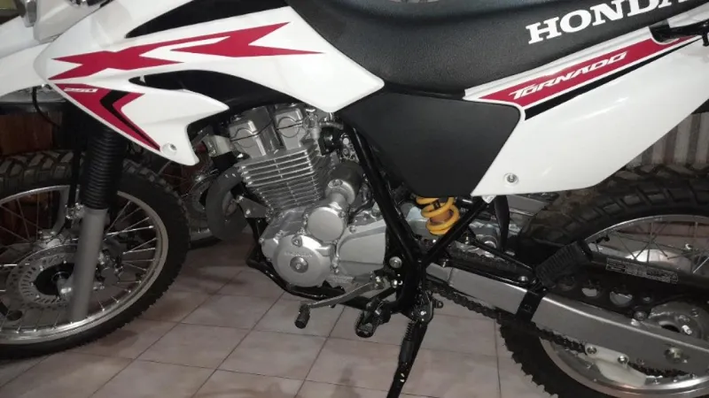 Nova Tornado 2024: O veredito definitivo!