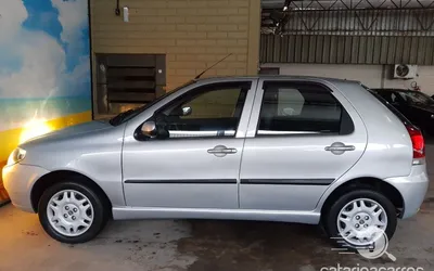 Guia Completo do Palio 2010