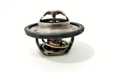 Guia Essencial da Valvula Termostatica