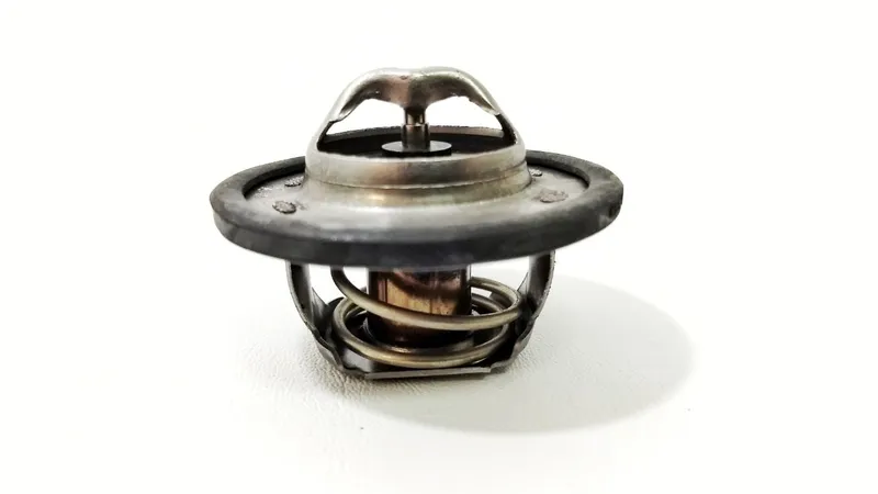 Guia Essencial da Valvula Termostatica